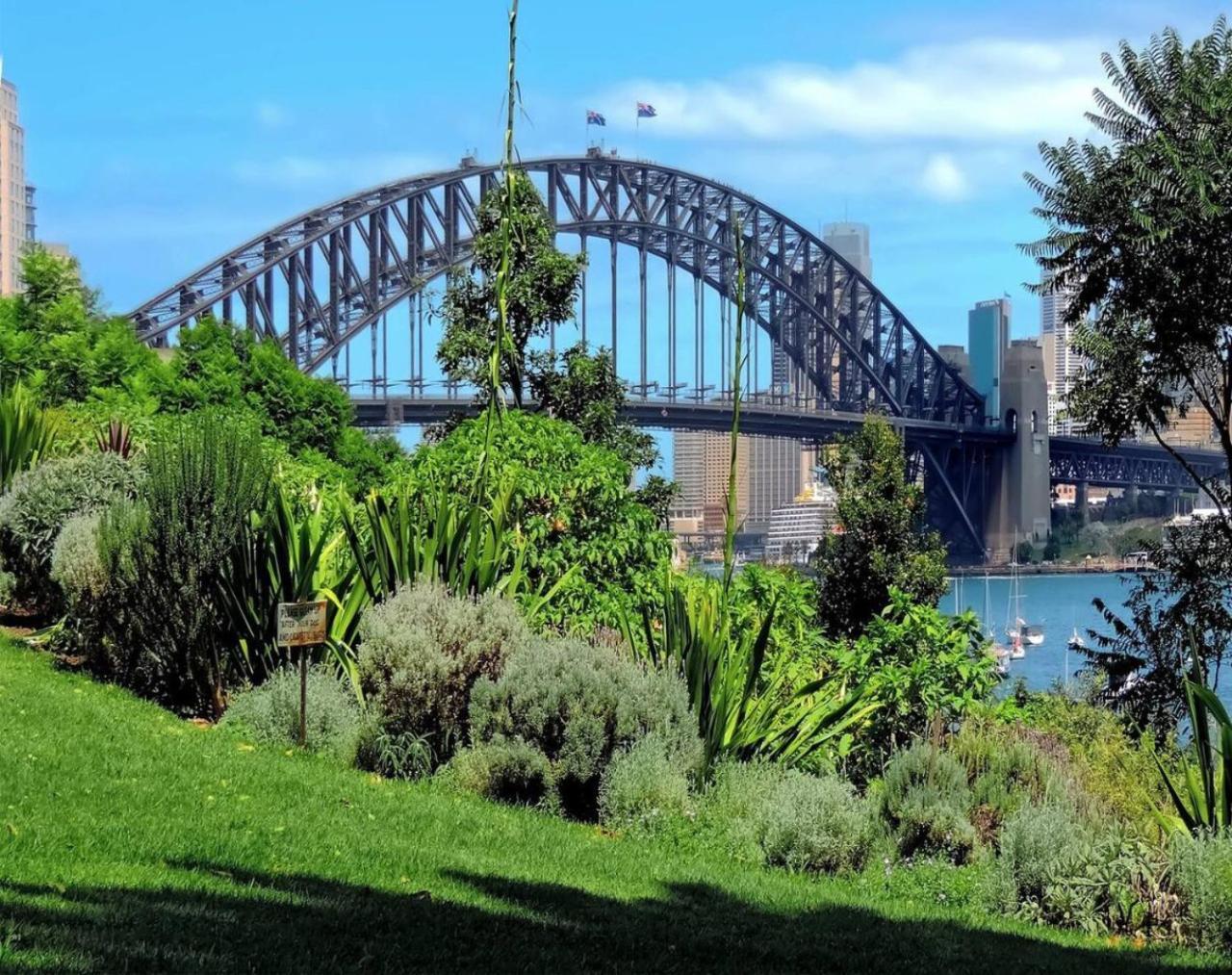Bright And Spacious In Mcmahons Point Sydney